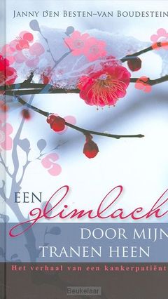 glimlach-door-mijn-tranen-heen