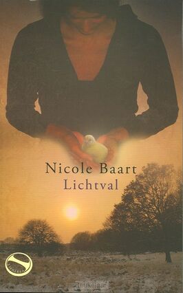 lichtval