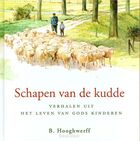 schapen-van-de-kudde