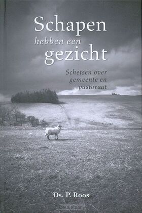 schapen-hebben-een-gezicht