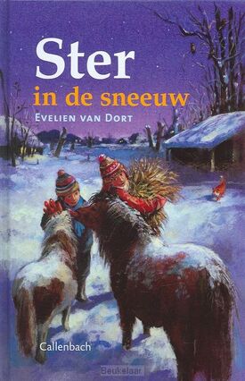 ster-in-de-sneeuw