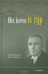 koren-is-rijp