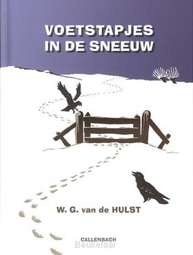 voetstapjes-in-de-sneeuw