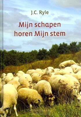 mijn-schapen-horen-mijn-stem