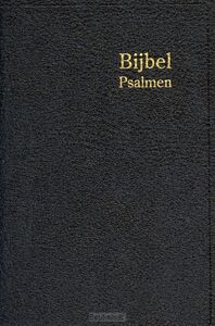 herenzakbijbel-h32r-ritmisch-leer-goudsn