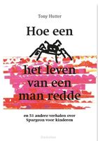 hoe-een-spin-het-leven-van-een-man-redde