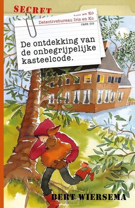 ontdekking-van-de-onbegrijpelijke
