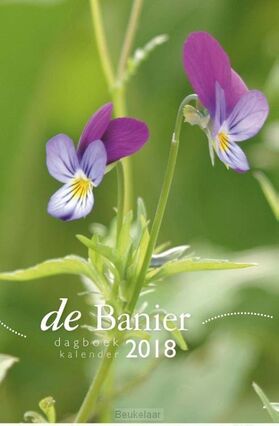 banier-2018-klein-dagboekkalender