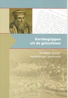 kernbegrippen-enige-troost