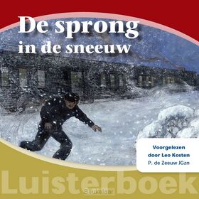 sprong-in-de-sneeuw-luisterboek