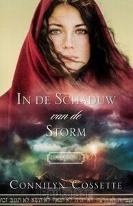 in-de-schaduw-van-de-storm