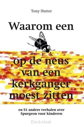 waarom-een-vlieg-op-de-neus-van-een-kerk