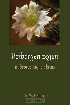 verborgen-zegen-in-beproeving-en-kruis