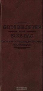 gods-beloften-voor-elke-dag