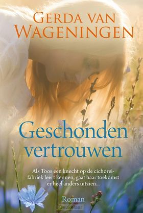 geschonden-vertrouwen