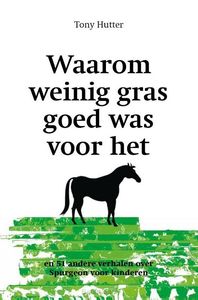 waarom-weinig-gras-goed-was-v-h-paard