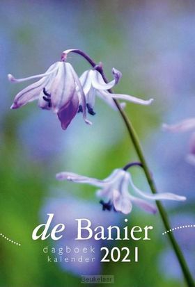 banier-2021-dagboekkalender
