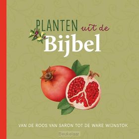 planten-uit-de-bijbel