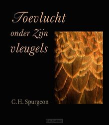 toevlucht-onder-zijn-vleugels