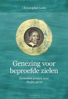 genezing-voor-beproefde-zielen