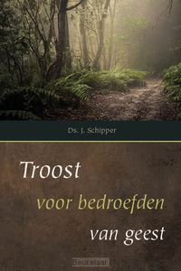 troost-voor-bedroefden-van-geest