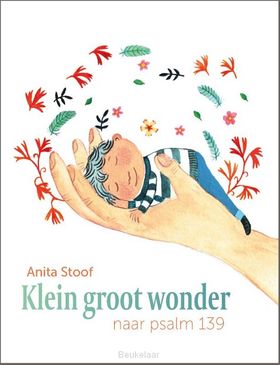 klein-groot-wonder