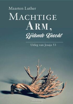 machtige-arm-lijdende-kracht