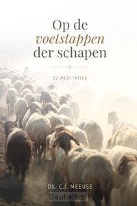 op-de-voetstappen-der-schapen