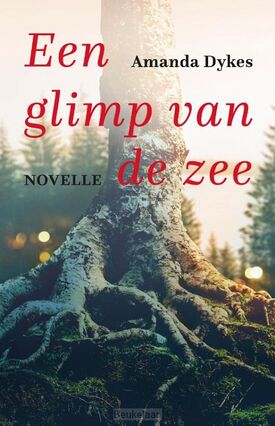 glimp-van-de-zee