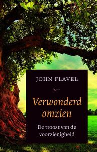BOvewonderdomzien-1-pdf.jpg