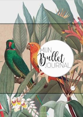 mijn-bullet-journal-papegaai