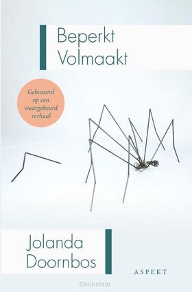 beperkt-volmaakt