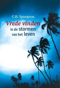 Vrede vinden in de stormen van het leven.jpg