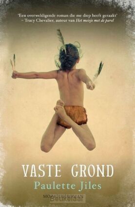 vaste-grond