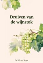 druiven-van-de-wijnstok.jpg