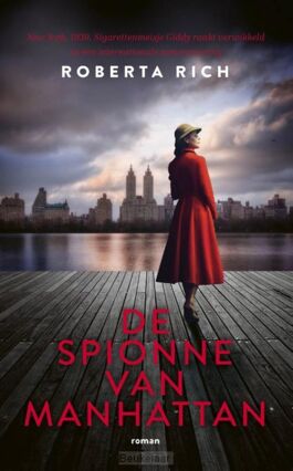 spionne-van-manhattan