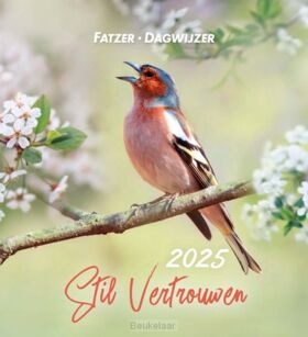 dagwijzer-2025-sv-stil-vertrouwen