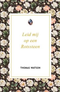 leid-mij-op-een-rotssteen