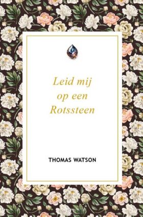 leid-mij-op-een-rotssteen