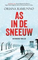 as-in-de-sneeuw