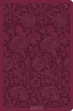 esv-value-compact-bible