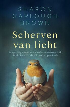 scherven-van-licht