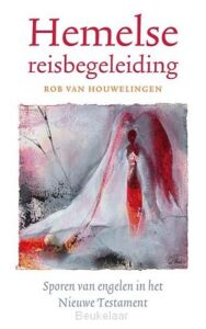 hemelse-reisbegeleiding