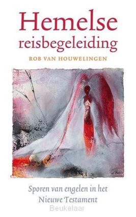 hemelse-reisbegeleiding