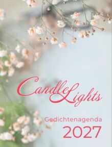 Agenda 2027 Candle Lights.JPG
