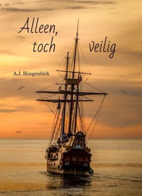 alleen-toch-veilig