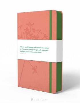 bgt-compact-roze