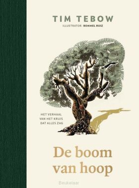 boom-van-hoop